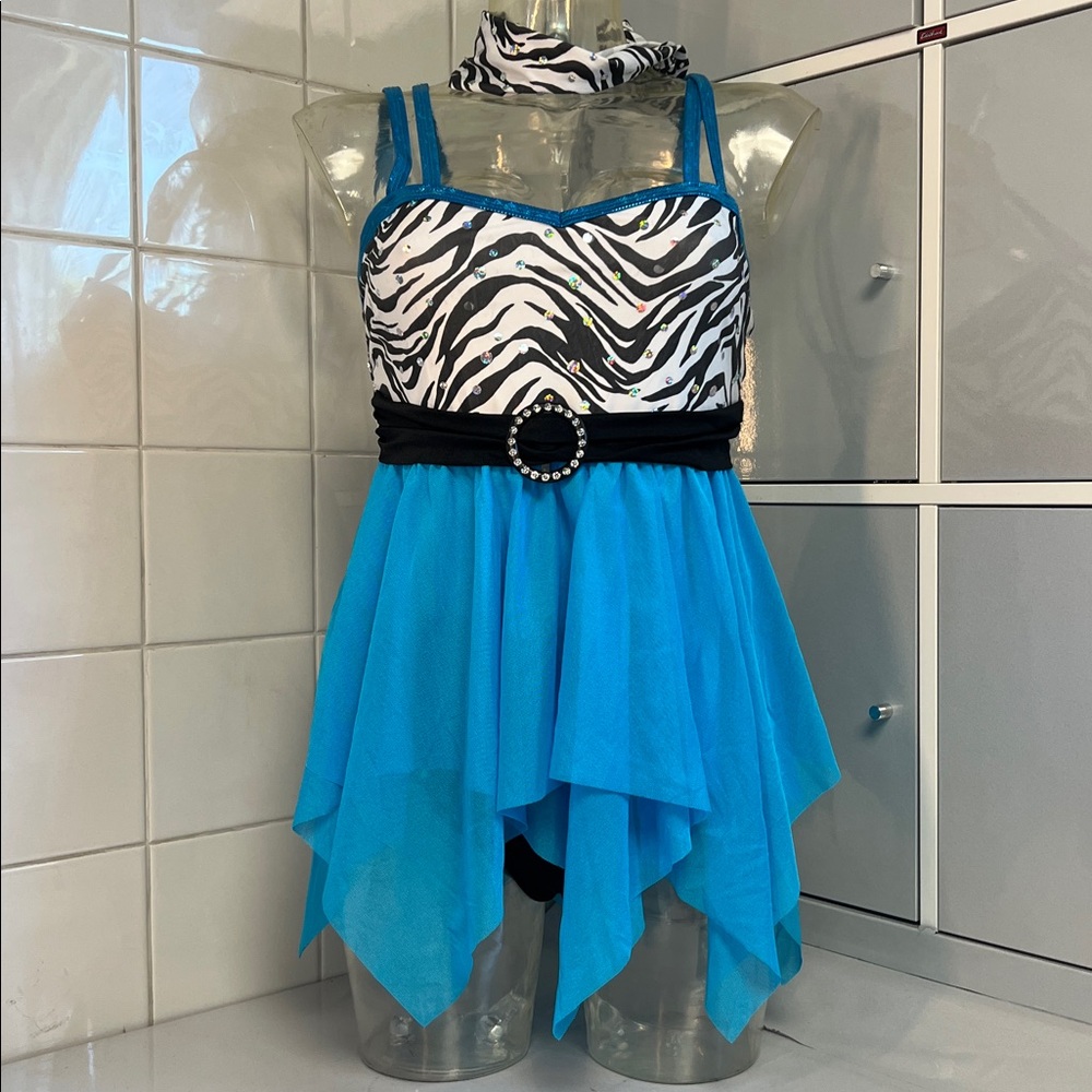 Zebra/Mesh Hankie Hem Babydoll Dance Costume L NWOT